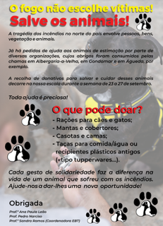 cartaz animais