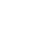 LGP